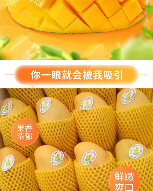 越南高乐蜜当季爆甜黄金芒果应季果园新鲜水果类8 5 2斤整箱批发