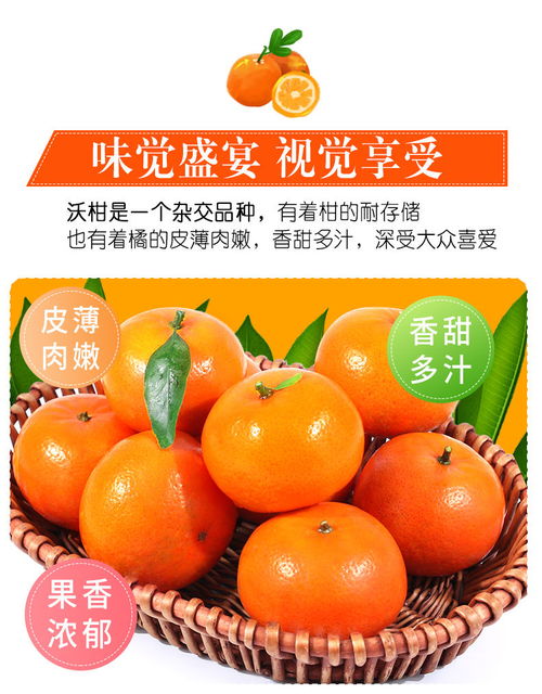 沃柑新鲜橘子水果当季贵妃柑柑橘桔子2 5 10斤批发