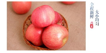 太苹盛事红遍中国陕西洛川苹果批发供应采购新鲜75mm水果价格优惠