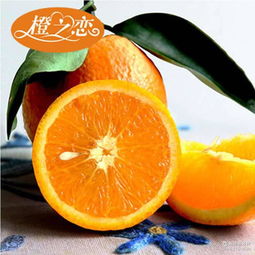 江西 橙 新鲜水果供应商 新鲜水果批发商 价格表